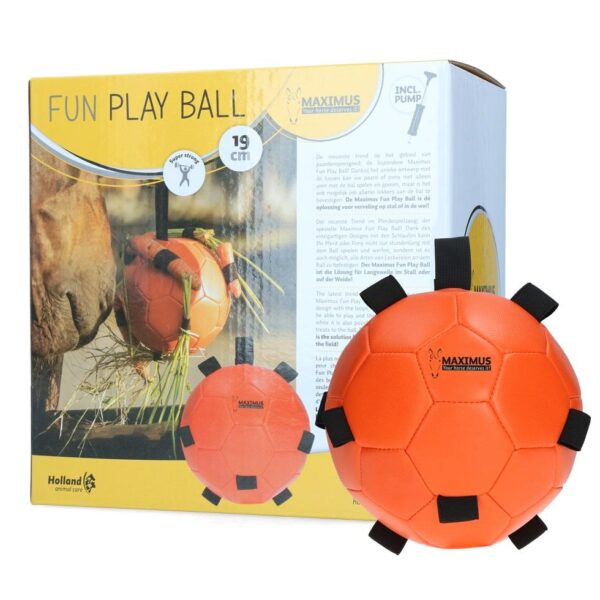 Play Ball Maximus - Bilde 4