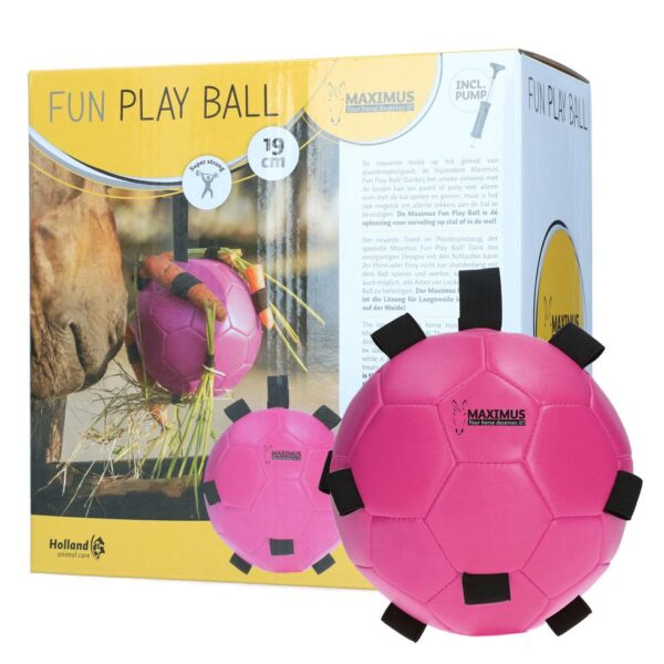 Play Ball Maximus - Bilde 3