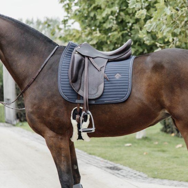 Kentucky Pearls Sjabrak Dressur