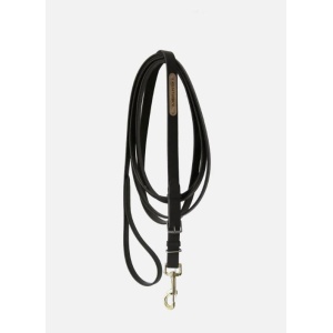 Kentucky stallion lead 4m