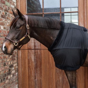 Kentucky Chest Protection sort