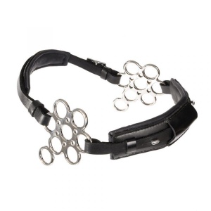 Globus Flower hackamore
