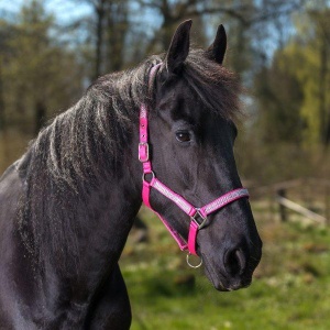 Globus Romana grime med strass