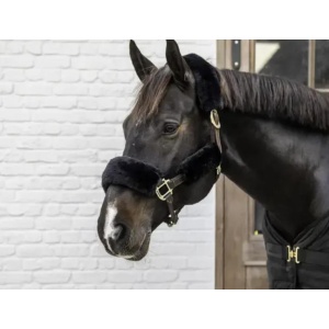 Kentucky sheepskin halter set 4pcs