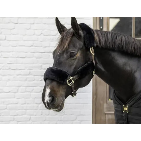 Kentucky sheepskin halter set 4pcs