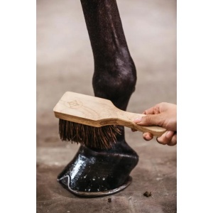 GD hoof brush med skaft