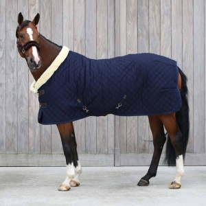 Kentucky Show rug 160g. Navy