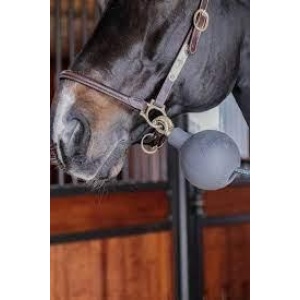 Kentucky Lead & wall Rubber ball Protection.