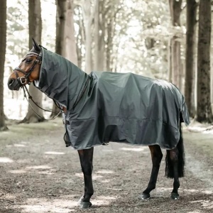 Kentucky Horse Raincoat Hurricane