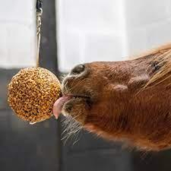 Likit Granola Stall-ball - Bilde 2