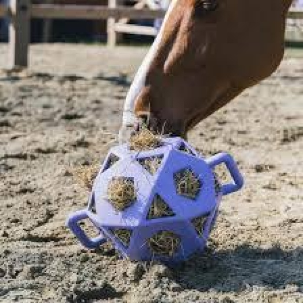 Kentucky Horse play & Hay Ball