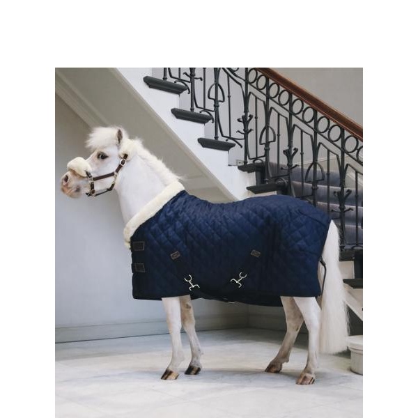 Kentucky Show rug Ponni