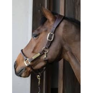 Kentucky Syntetisk lærgrime Sort/Brun