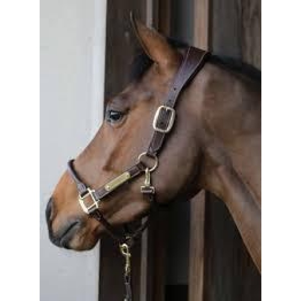 Kentucky Syntetisk lærgrime Sort/Brun