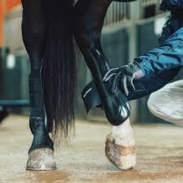 Race-Master Bakbeinsbelegg Medium - Bilde 2