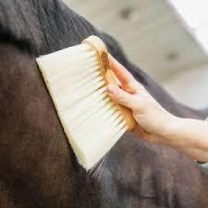 Grooming Deluxe Middle Brush Natur Long