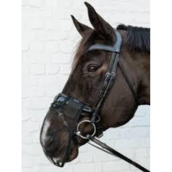 Kentucky Anti-fly Nose net