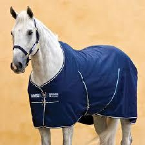 HW Rambo stable sheet 0g