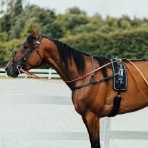 FT QH komplett sele, 100% beta.