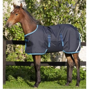 HW Amigo Foal Rug 200g