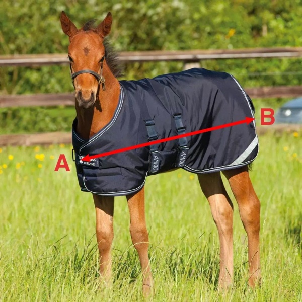 HW Amigo Foal Rug 200g - Bilde 2