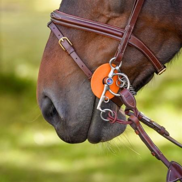 E By equaliyline pelhamdelta